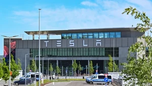 Takich spadków Musk jeszcze nie widział. Kraj w Europie na czele