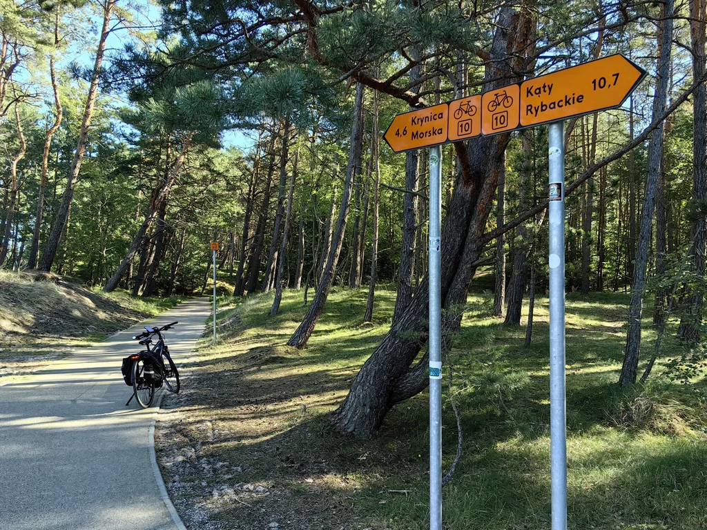 Ścieżka przed Krynicą Morską oferuje piękną nawierzchnię z żywicy Ścieżka rowerowa prowadząca przez sosnowy las, po lewej stronie stoi zaparkowany rower, a po prawej stronie widoczne są żółte znaki kierunkowe informujące o trasach do Krynicy Morskiej i Kątów Rybackich.