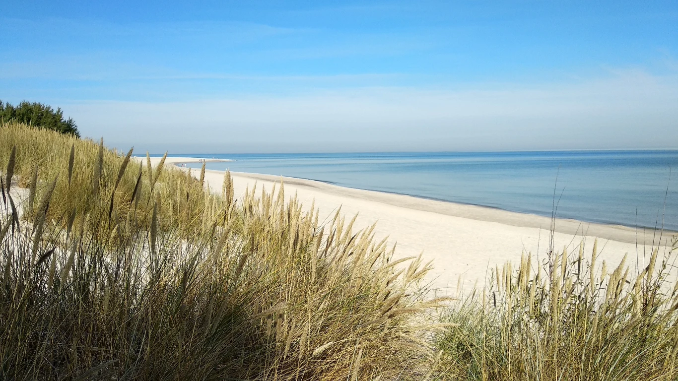 Dzika, piaszczysta plaża z wysokimi trawami na pierwszym planie, spokojne morze i bezchmurne niebo rozciągające się aż po horyzont.