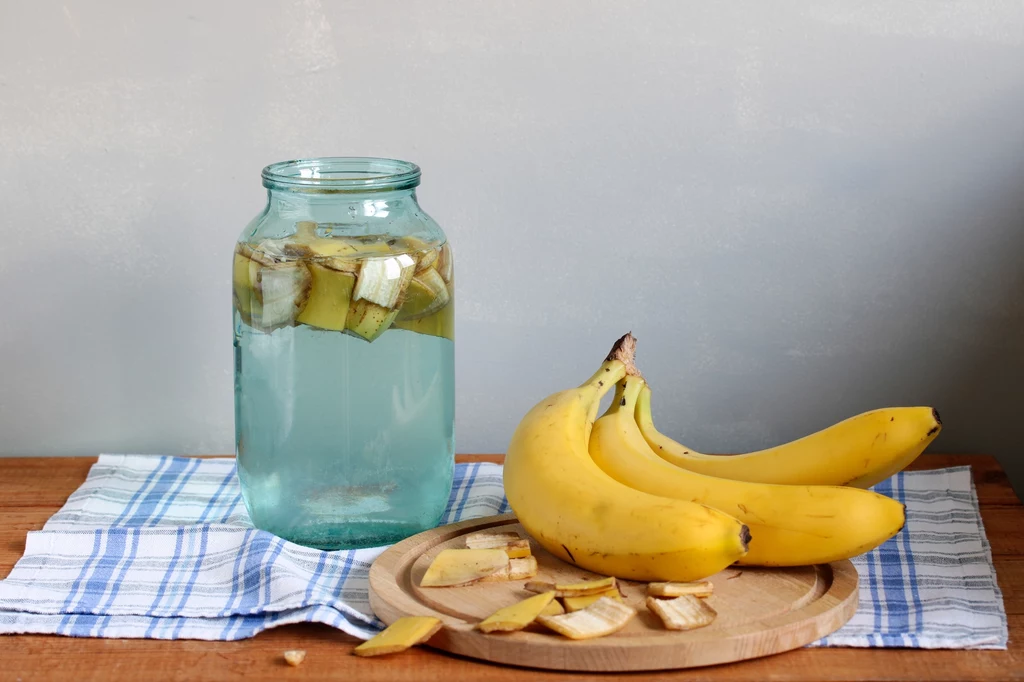 Domowa mikstura ze skórek po bananach ożywi rośliny, zapewniając im lepsze owocowanie Szklany słoik z wodą i kawałkami skórki bananowej stoi na ściereczce obok drewnianej deski z trzema całymi bananami i kilkoma pociętymi skórkami.