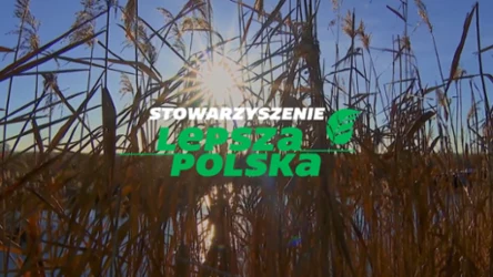 Tworzymy zieloną przyszłość dla Polski
