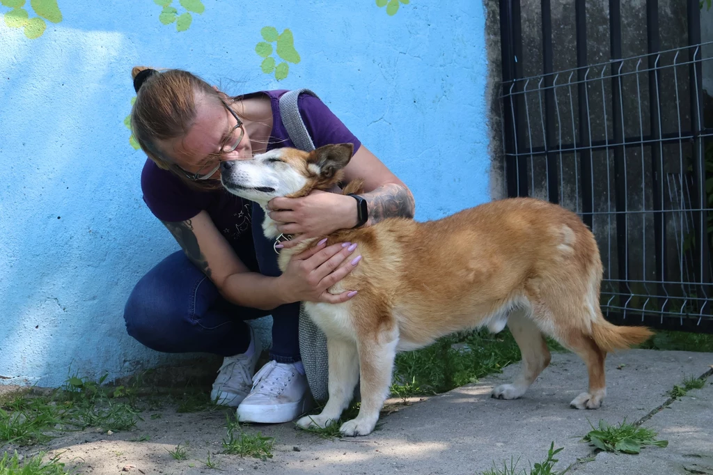 Pies Leon został adoptowany po 10 latach w schronisku Pies Leon został adoptowany po 10 latach w schronisku