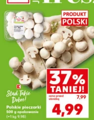 Гриби Polski