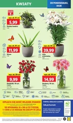 Wszystko, czego chcesz! - Lidl