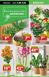 Dzień dobrych oszczędności - Biedronka