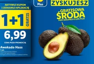 Авокадо Plus-Plus