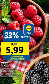 Малина Plus-Plus
