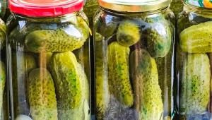 Niebieski czosnek w kiszonych ogórkach: co to oznacza? 