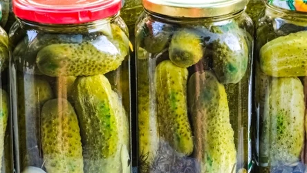 Niebieski czosnek w kiszonych ogórkach: co to oznacza? 