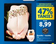 Пригнися