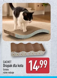 Drapak dla kota Cachet