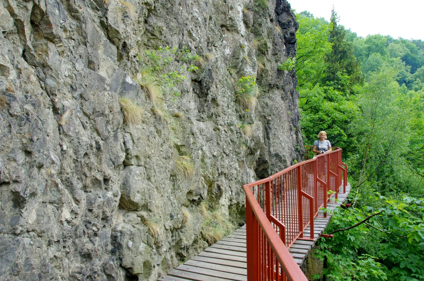 Ścieżka Hochbergów to jedna z najbardziej malowniczych tras spacerowych w Polsce. Co wiadomo na jej temat?