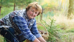Pełne kosze grzybów, ale nadal są niezadowoleni. O co chodzi grzybiarzom?