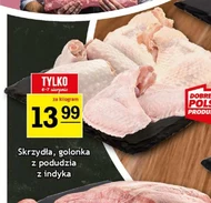 Skrzydełka z indyka