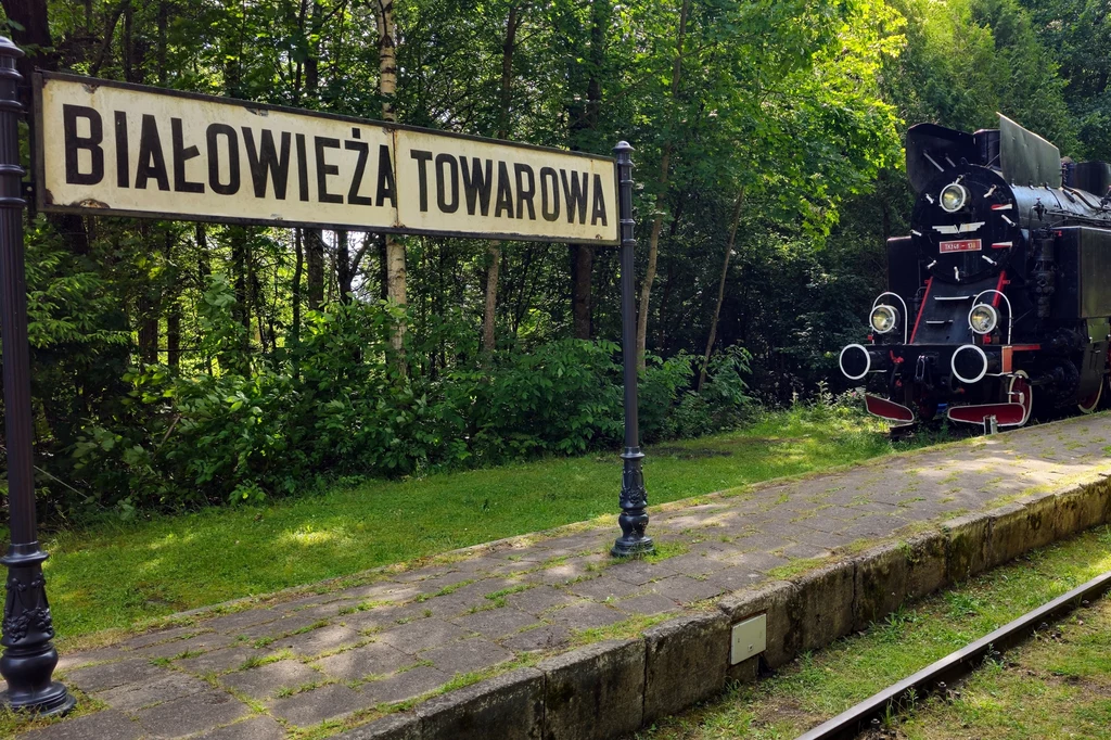 Na terenie starego dworca Białowieża Towarowa mieści się kompleks hotelowy i Restauracja Carska Na terenie starego dworca Białowieża Towarowa mieści się kompleks hotelowy i Restauracja Carska