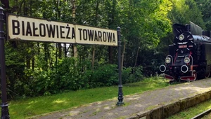 Pojechał na jedną noc, został na ponad 20 lat. "To było irracjonalne"