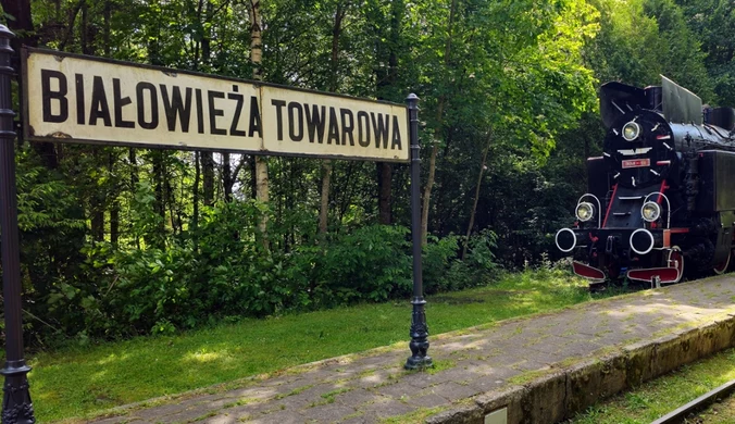 Pojechał na jedną noc, został na ponad 20 lat. "To było irracjonalne"