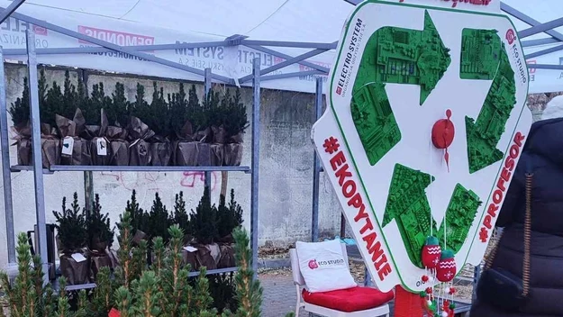 Stoisko z młodymi drzewkami iglastymi owiniętymi w czerwony materiał, metalowy regał z małymi sadzonkami oraz duży znak z symbolem recyklingu i zielonymi napisami promującymi ekologię.