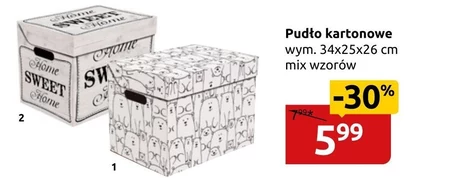 Pudło