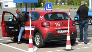 Mandat 1500 zł i sąd? Nawet jeśli masz świeże prawo jazdy, uważaj na ten błąd