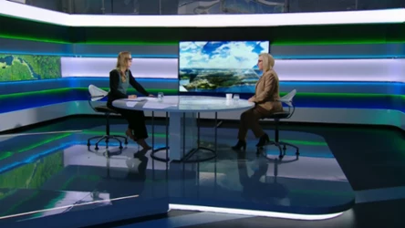 Co dalej z programem "Czyste Powietrze"? - fot. Polsat News