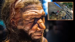 Neandertalczycy w Polsce. Niesamowite odkrycie pod Warszawą