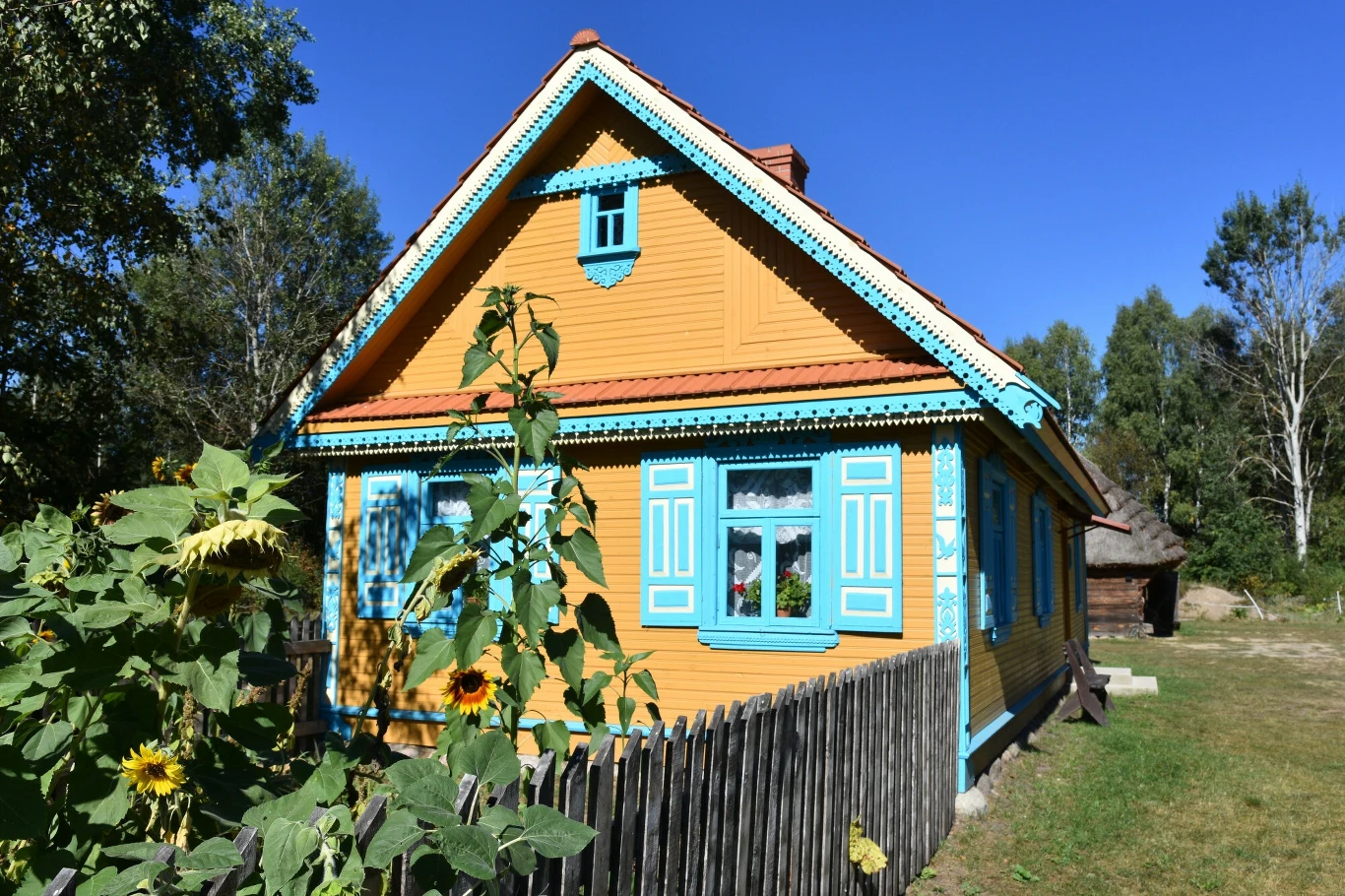 Podlasie uruchomiło kolejną edycję bonu turystycznego. Drewniany żółty dom z turkusowymi okiennicami, płotem i słonecznikami; w tle drzewa i niebieskie niebo.