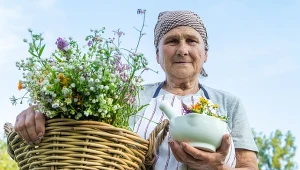 Gdzie zioła rosną, tam zdrowie mieszka - po zdrowie z natury jedź na Podlasie / zdjęcie ilustracyjne 