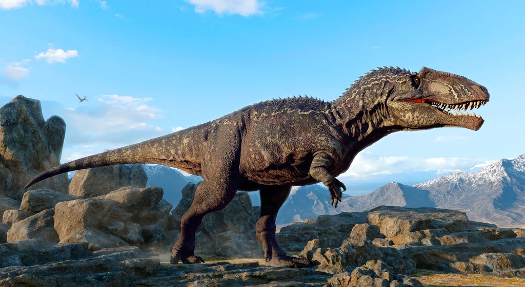 Giganotozaur - ogromny mięsożerca z Argentyny, większy od tyranozaura