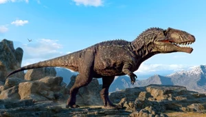 Podręczniki trzeba pisać na nowo. Tyranozaur polował inaczej