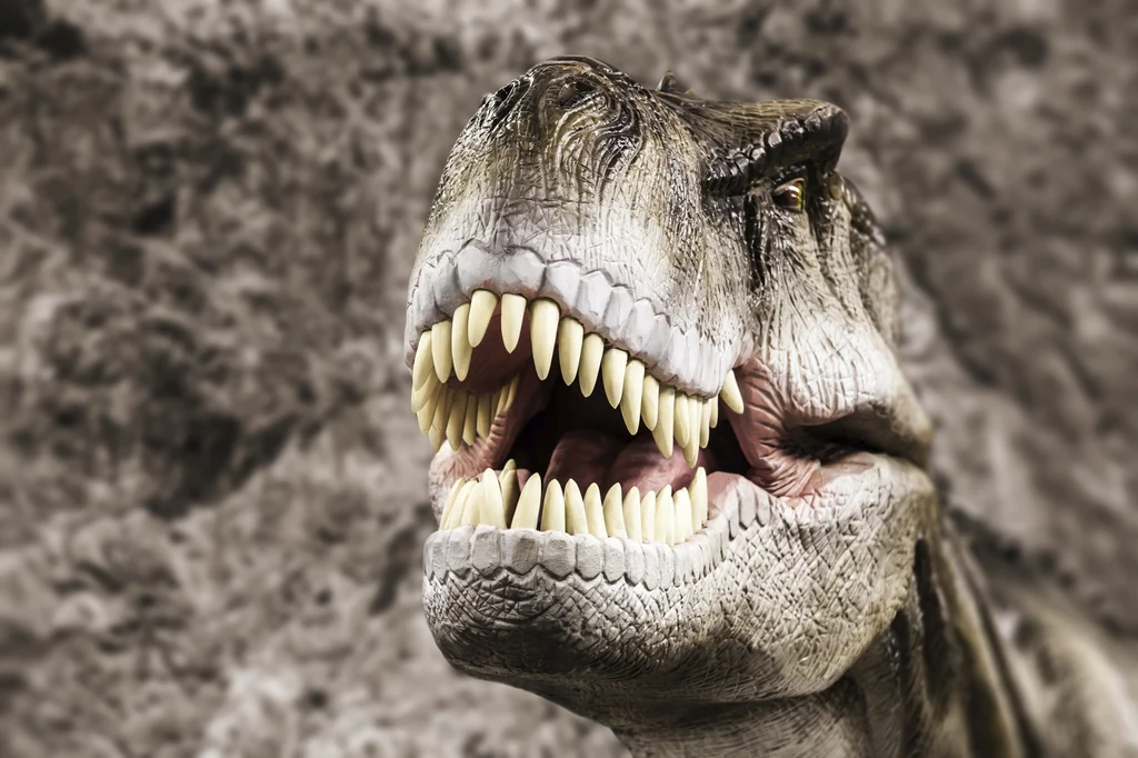 Powietrze, którym oddychały dinozaury, znacznie różniło się od naszego Powietrze, którym oddychały dinozaury, znacznie różniło się od naszego