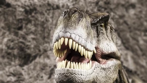 Wydobyli powietrze, sprzed milionów lat. Z zębów dinozaurów