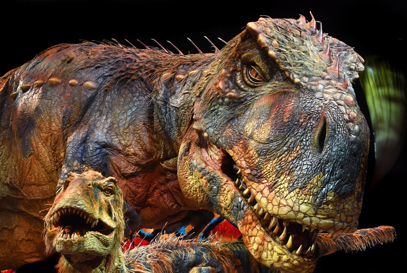Dwa realistycznie odwzorowane dinozaury, większy i mniejszy, o wyrazistych kolorach skóry i szczegółowo ukazanych łuskach, otwarte paszcze z widocznymi ostrymi zębami, tło ciemne z delikatnym światłem eksponującym sylwetki.