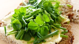 Jedno z najzdrowszych warzyw świata. Bomba witamin i przeciwutleniaczy