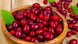 Zapomniany skarb natury. Jedz jak najczęściej