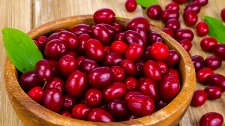 Ten polski superfood jest stanowczo za mało znany