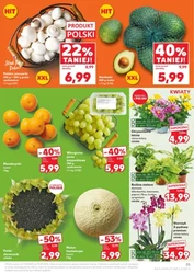 Hity sprzed lat! - Kaufland