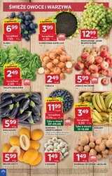 Nowa oferta od czwartku! - Stokrotka Optima