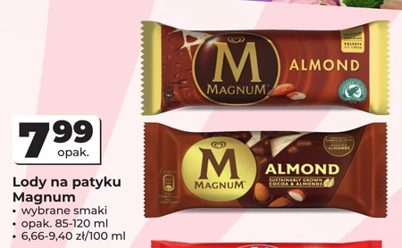 Lody Magnum