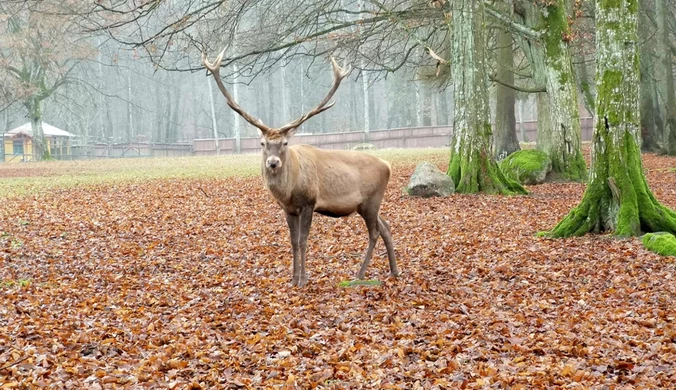 Rusza III edycja Podlaskiego Bonu Turystycznego