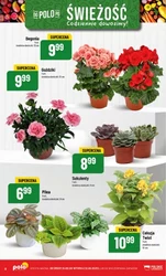 Codziennie dowożona świeżość! - Polomarket