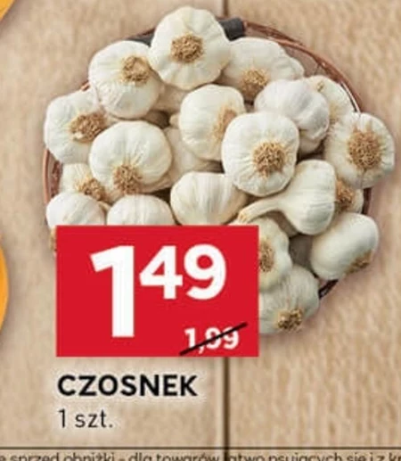 Czosnek