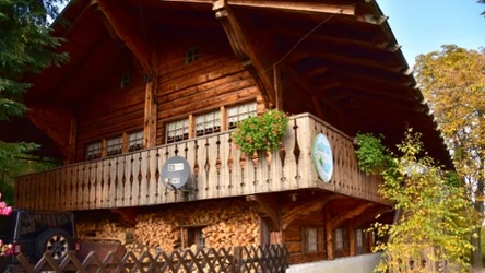 Schroniska Szwajcarka — dlaczego warto je odwiedzić? 