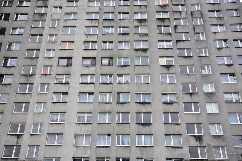 Jak długo wytrzyma wielka płyta? 