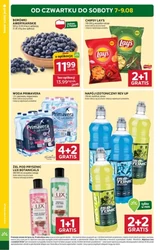 Pomidorowy zawrót głowy - Stokrotka Supermarket