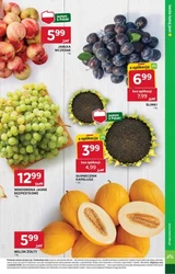 Pomidorowy zawrót głowy - Stokrotka Supermarket