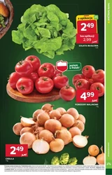 Pomidorowy zawrót głowy - Stokrotka Supermarket