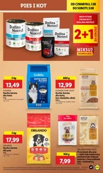 Ulubione produkty w promocji – Lidl