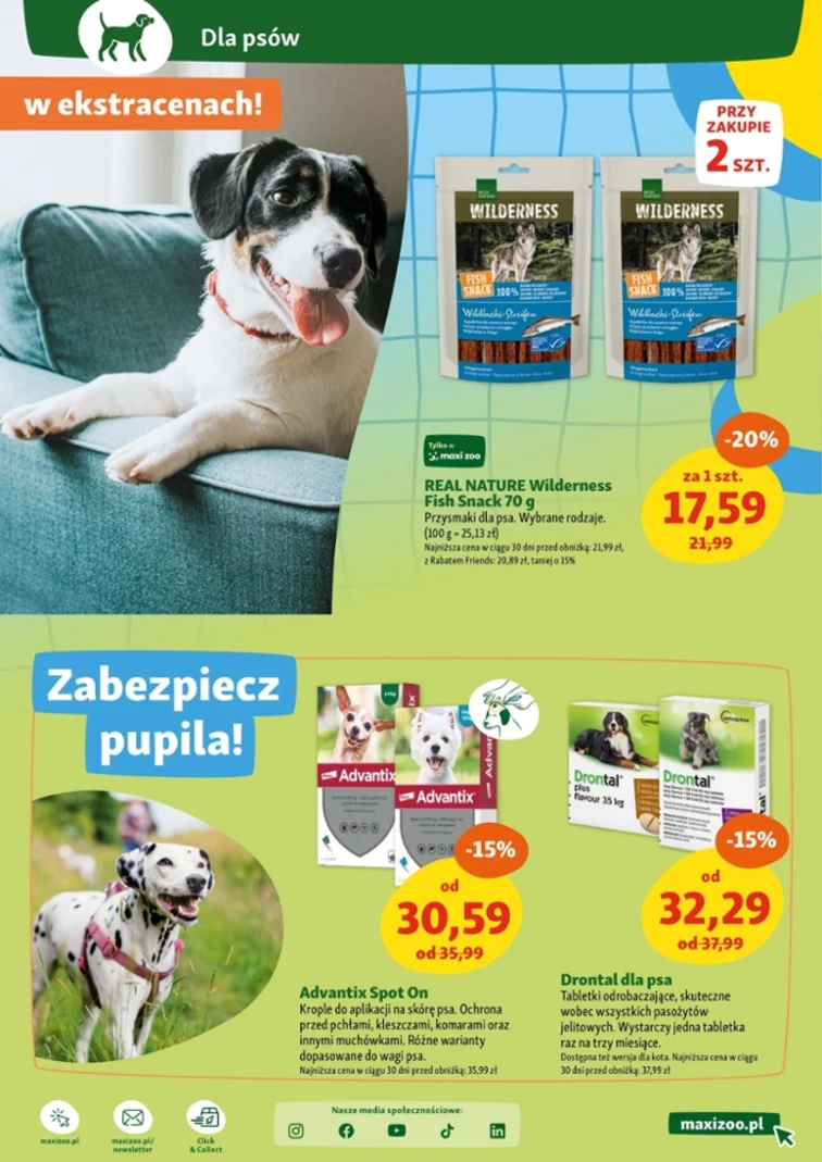leaflet page preview image