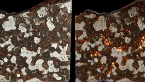 Niezwykły minerał z meteorytu Steinbach zaskakuje naukowców